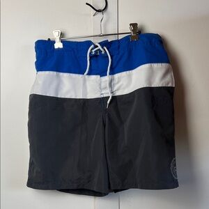 Roots Blue, White, and Gray Men's Board Swim Shorts
